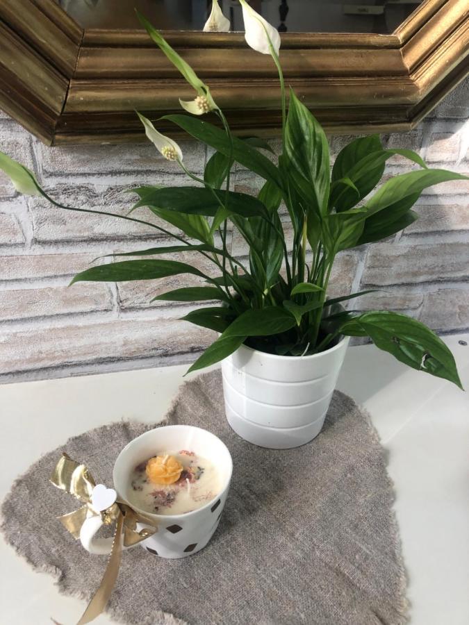 Casa Nonna Elide Apartment Besozzo ภายนอก รูปภาพ